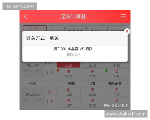 竞彩足球计算器胜平负攻略助你精准预测赛事结果提升投注胜率